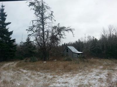  - -old-abandon-camp-today-i-took-2-pictures-and-found-a-large-white-orb-in-motion-21755396