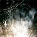 Mist Ghost