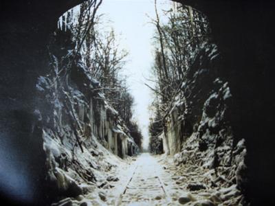 View from inside the tunnel looking out