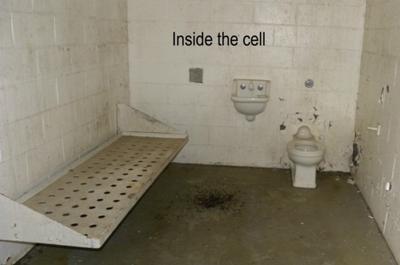 inside the cell